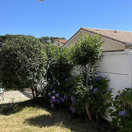 Ensoleillee Avec Terrasse Pres De La - Fr-1-831-11 Willa