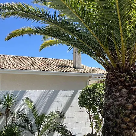 Charmante Avec Terrasse Pres De La - Fr-1-831-11 Biscarrosse